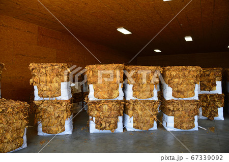 アメリカ タバコ工場 アメリカ タバコ工場 67339092