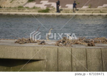 おかえり。ただいま。 67339471