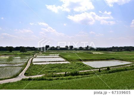 埼玉県秋ヶ瀬田んぼ 田園地帯 67339605