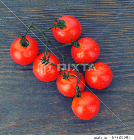 Ripe cherry tomatoes on a twig on a dark woden 67339996