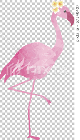 フラミンゴ　夏　南国　トロピカル　水彩　イラスト素材セット 67340407