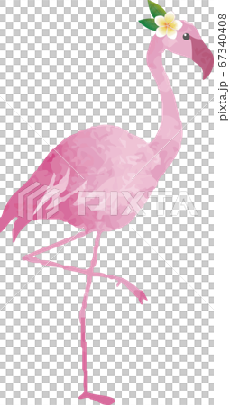 フラミンゴ　夏　南国　トロピカル　水彩　イラスト素材セット 67340408