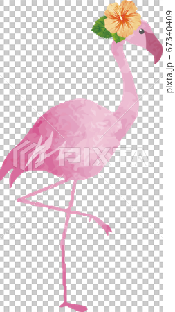フラミンゴ　夏　南国　トロピカル　水彩　イラスト素材セット 67340409