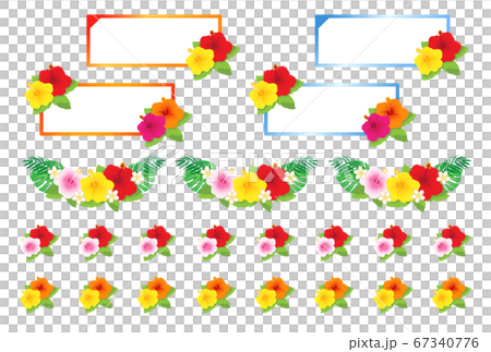 Hibiscus 67340776