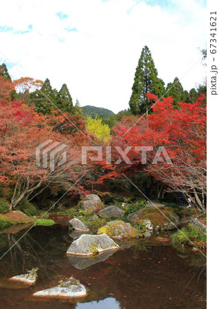 佐賀県唐津市「環境芸術の森」紅葉の森の景観 佐賀県唐津市「環境芸術の森」紅葉の森の景観 67341621