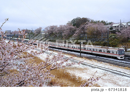 桜隠しの雪　東京都交通局5300系電車　北総鉄道　西白井〜小室　 67341818