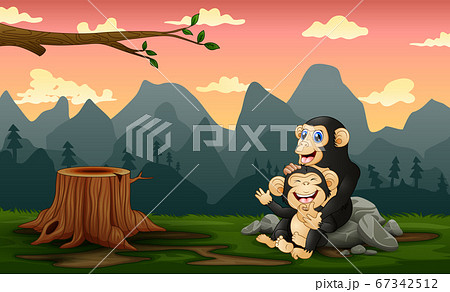A chimpanzee with her cub in a bare forest A chimpanzee with her cub in a bare forest 67342512