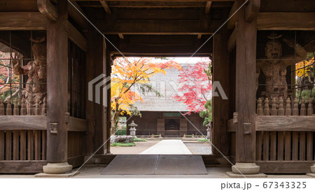 寺の入り口を護る阿吽の木造と赤黄に色づいたモミジ 寺の入り口を護る阿吽の木造と赤黄に色づいたモミジ 67343325