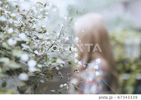 ドライフラワーと花柄のワンピースの巻き髪の女性と植物のフォトジェニックな写真 ドライフラワーと花柄のワンピースの巻き髪の女性と植物のフォトジェニックな写真 67343339
