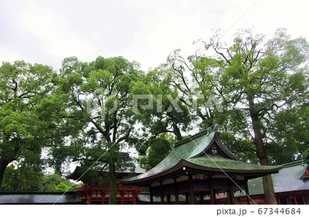 年に数回の男三人近場名所散策（大宮氷川神社他） 67344684