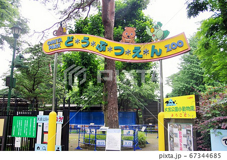 年に数回の男三人近場名所散策（大宮氷川神社他） 67344685