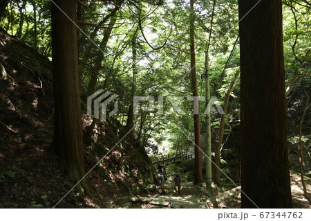 大山詣 参道 女坂 大山詣 参道 女坂 67344762