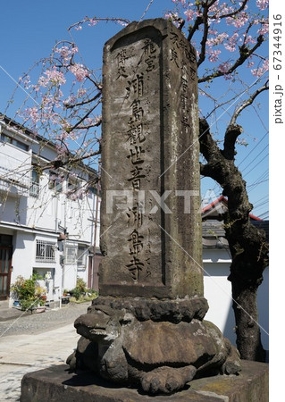 神奈川区 慶運寺 うらしま寺 神奈川区 慶運寺 うらしま寺 67344916