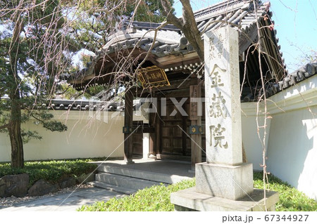 神奈川区 金蔵院山門 神奈川区 金蔵院山門 67344927