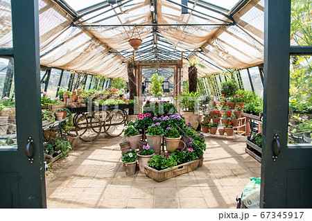 温室スタイルの植物のショップと奥に広がるカフェ イギリス郊外にての写真素材