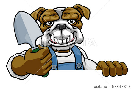 Bulldog Gardener Gardening Animal Mascot 67347818