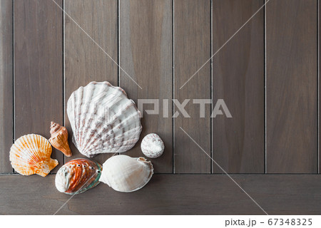 Top view of different sea shells on wooden background with copy space. Summer time concept 67348325