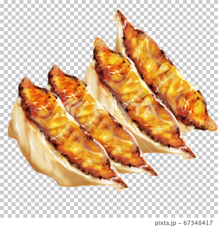 Grilled dumpling menu Grilled dumpling menu 67348417