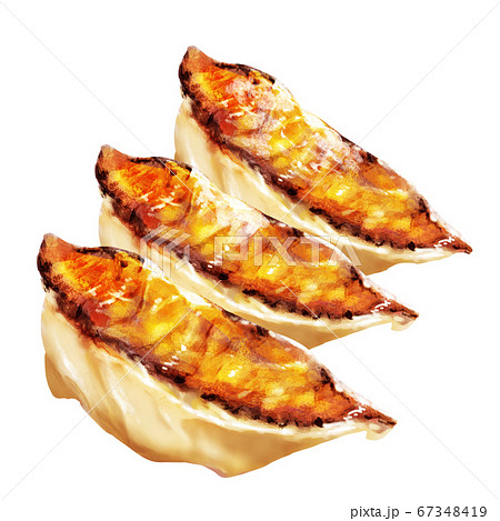 3連焼き餃子 3連焼き餃子 67348419