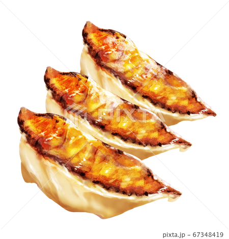 3連焼き餃子 3連焼き餃子 67348419