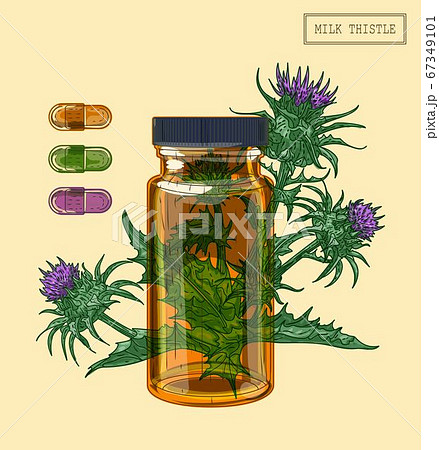 Medical milk thistle plant and glass vial Medical milk thistle plant and glass vial 67349101