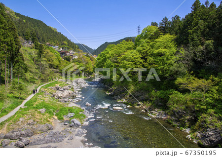 新緑の御岳渓谷 多摩川に架かる吊り橋 杣の小橋から下流側の風景 新緑の御岳渓谷 多摩川に架かる吊り橋 杣の小橋から下流側の風景 67350195