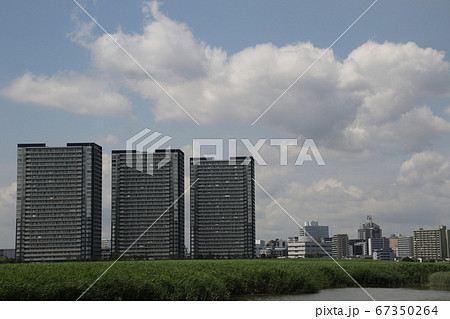 晴れた日に六郷川河川敷を歩いた 67350264