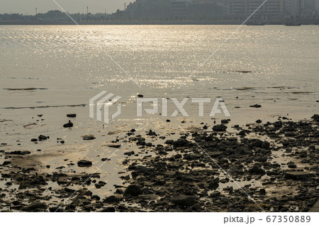 Afternoon view of the Hengqin river area 67350889