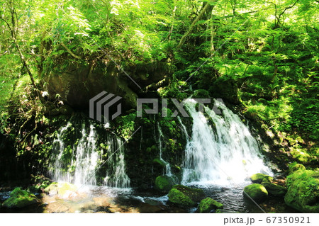 秋田　初夏の鳥海山　苔むす元滝伏流水の清流 67350921