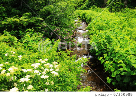 山形出羽三山 湯殿山への道 山形出羽三山 湯殿山への道 67350989