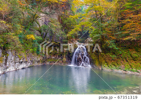 紅葉に染まる赤目四十八滝、赤目五瀑 千手滝（三重県名張市赤目町長坂）※作品コメント欄に撮影位置 67351319
