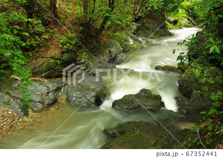 飛び越え石 飛び越え石 67352441