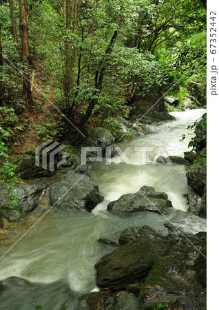 飛び越え石 67352442