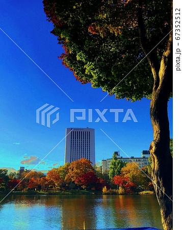札幌中島公園の紅葉の写真素材