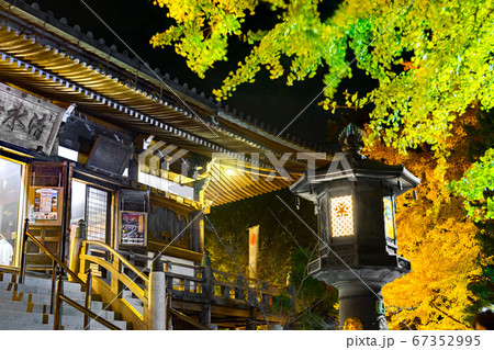 播州清水寺 大講堂とモミジの紅葉ライトアップ 兵庫県加東市平木 作品コメント欄に撮影位置の写真素材