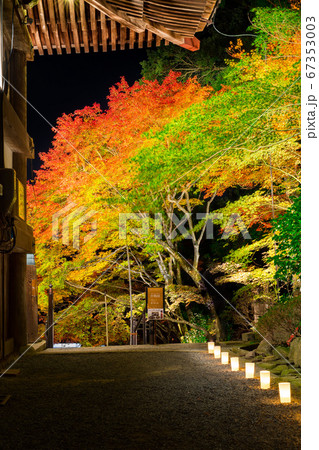 播州清水寺、煌びやかな紅葉ライトアップ（兵庫県加東市平木）※作品コメント欄に撮影位置 67353003