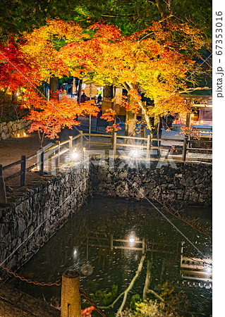 播州清水寺 放生池と紅葉ライトアップ 兵庫県加東市平木 作品コメント欄に撮影位置の写真素材