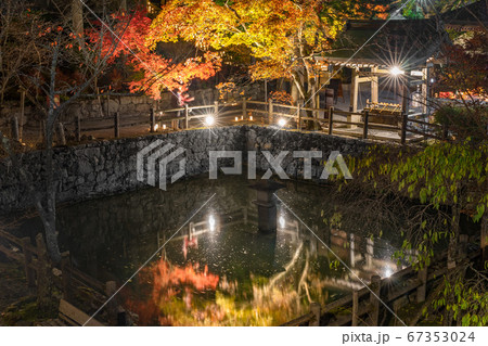 播州清水寺 放生池と紅葉ライトアップ 兵庫県加東市平木 作品コメント欄に撮影位置の写真素材