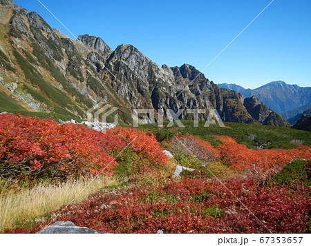 秋の剣沢　青空に映えるナナカマドの紅葉 67353657