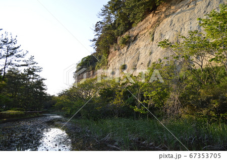 横浜、本牧市民公園、ザリガニのいる池 67353705