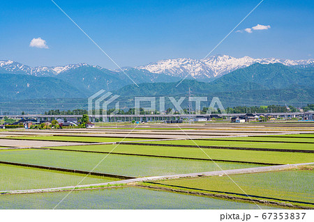 (富山県)入善PAから望む、水田と北アルプス・後立山連峰 (富山県)入善PAから望む、水田と北アルプス・後立山連峰 67353837
