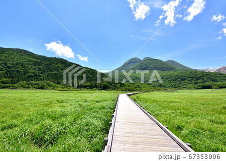 くじゅう長者原からの三俣山 タデ原湿原自然研究路 夏色のくじゅう連山 大分県九重町 くじゅう長者原からの三俣山 タデ原湿原自然研究路 夏色のくじゅう連山 大分県九重町 67353906