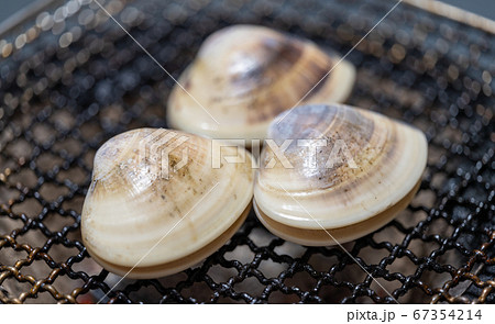 ハマグリの炭火焼きBBQ･bbq･炭火焼･網焼･備長炭･七輪･キャンプ･食事 67354214