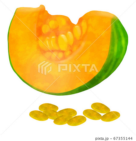 かぼちゃの種のイラスト素材