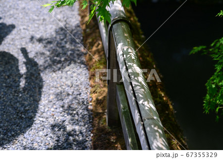 もみじの葉影 もみじの葉影 67355329