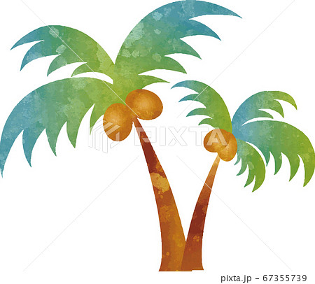 夏 植物 椰子の木 水彩 イラスト素材のイラスト素材