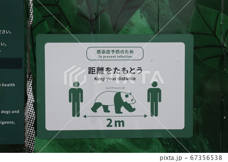 上野動物園 67356538
