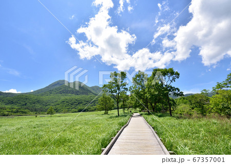 くじゅう長者原からの三俣山　タデ原湿原自然研究路　夏色のくじゅう連山　大分県九重町 67357001