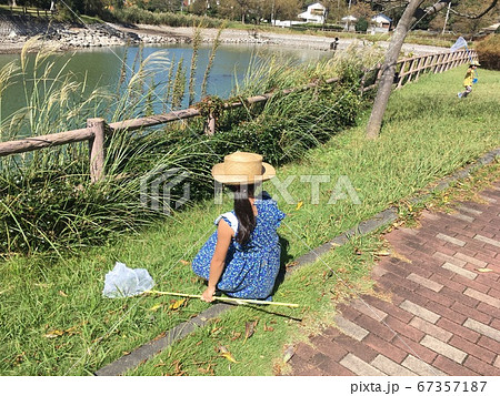 夏の公園で虫取りをする少女 67357187