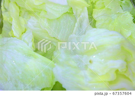 野菜 済州 済州島 67357604